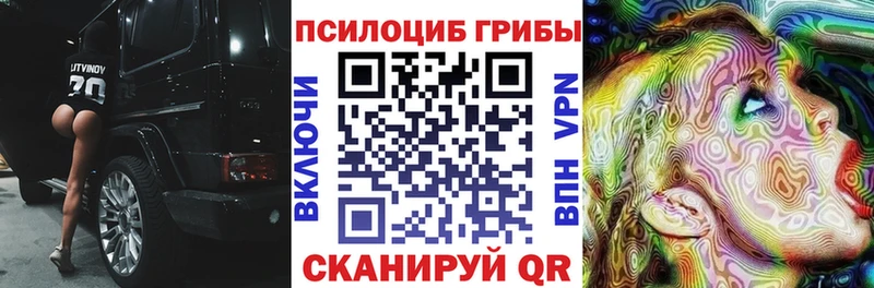 Псилоцибиновые грибы прущие грибы  blacksprut рабочий сайт  Малмыж 